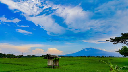 Ladang Pangan