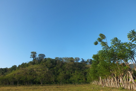 hijaunya alam dan birunya langit