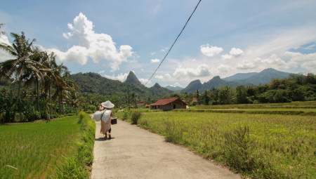 Pemandangan Desa