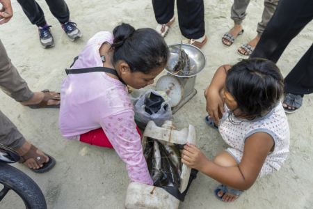 Penjual Ikan Keliling