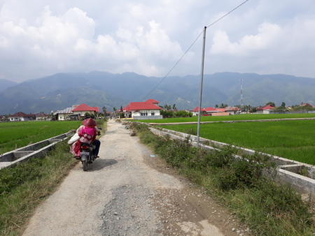 Pulang dari ladang