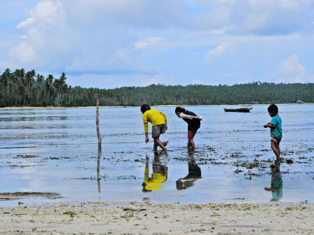 Anak Pantai