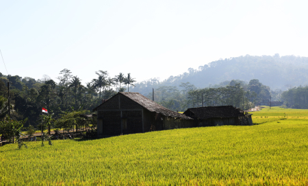 Kampungku yang sejuk indah dan asri