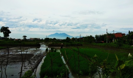 Kota serasa pegunungan