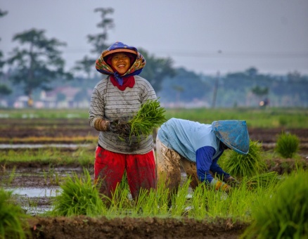 Senyum disela kesibukan