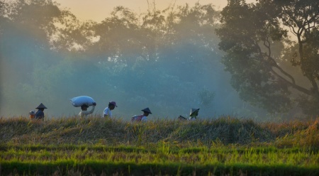 Semangat di ujung cakrawala senja