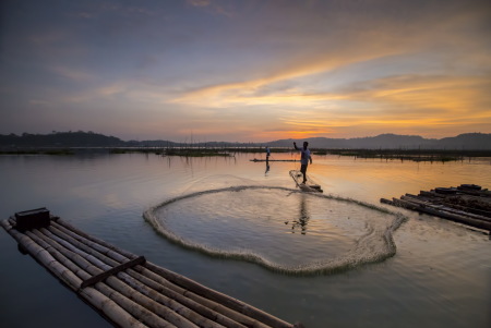 Menjala Ikan di Rowo Jombor