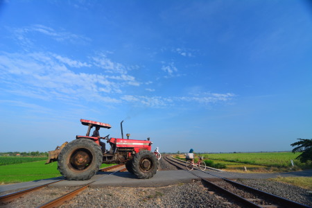 Mnyebrangi Rel Ditengah Sawah