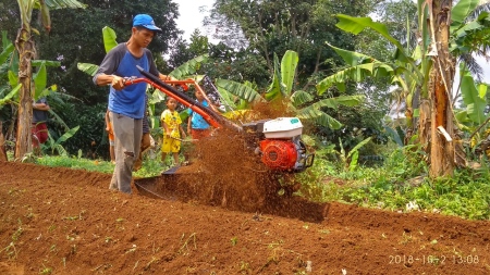 Proses pencangkulan tanah