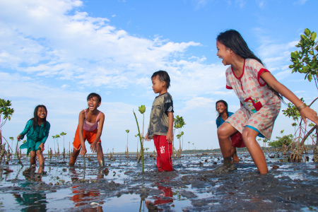 Menanam tumbuhan mangrove