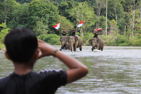 Wisata Gajah di Kampung Pedalaman