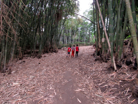 berjalan menyusuri kampung batu