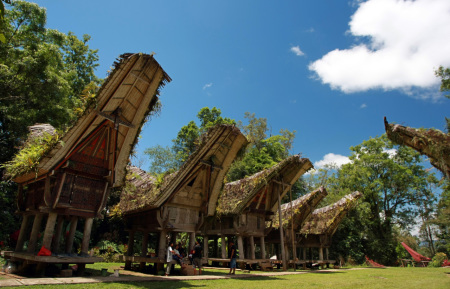 Budaya Tongkonan Buntu Pune Toraja Utara