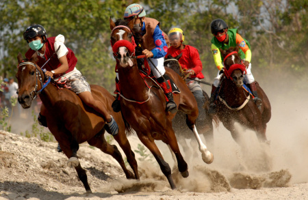 LOMBA PACUAN KUDA TRADISIONAL