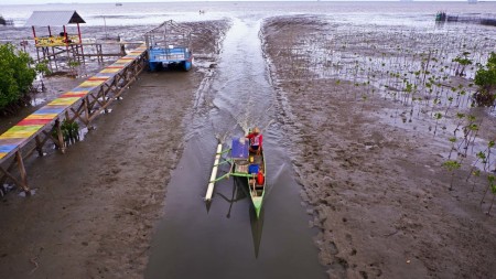 KAWASAN HUTAN MANGROVE