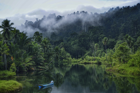 Kabut Pagi