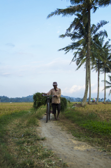 Beranjak pulang