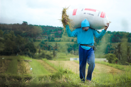 Ketangguhan petani