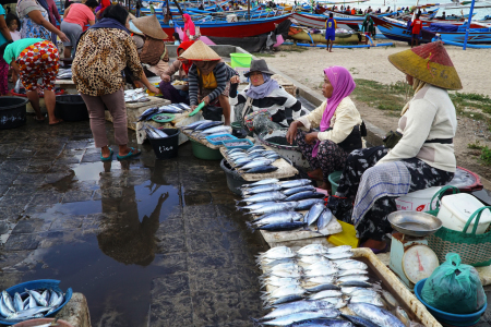 Pasar Ikan Kedonganan