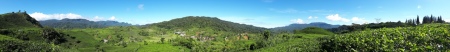 Panorama kebun teh gunung talang