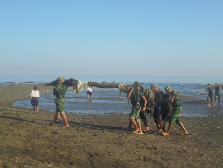 kegiatan bersih bersih pantai tiada henti