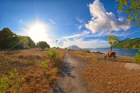 Pulau kepa