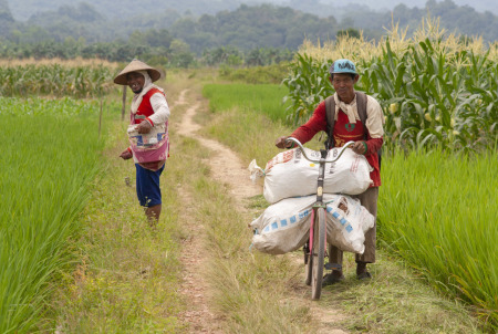 Senyum kebhagian para petani