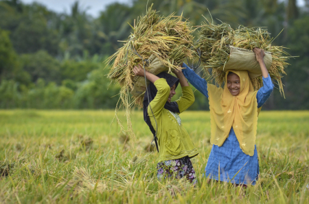 Kecerian Panen Raya