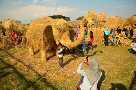 Festival Jerami