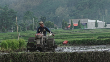 Bajak Sawah