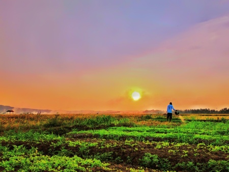 Antara senja dan pak tani