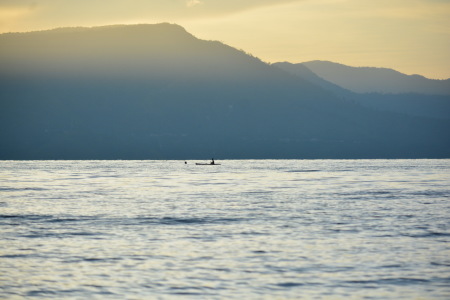 Nelayan, Danau Toba, dan Matahari Terbit