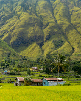 Desa Bonan Dolok dan Bukit yang Asri