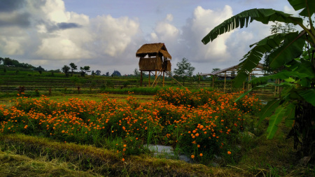 Menyejukan Suasana Hati