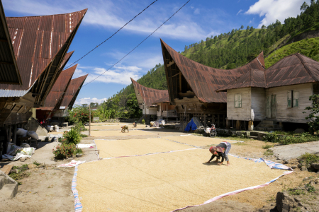 Semangat Petani di Kampung Si Raja Batak