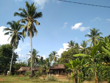 Rumah nenek