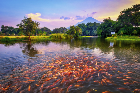 Berjuang Untuk Sukses