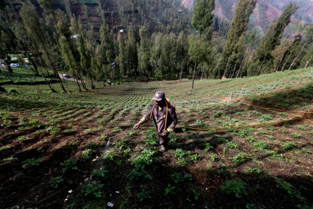 Petani Bromo