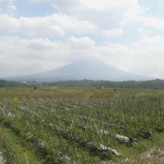 Gunung Merbabu Dari Kejauhan