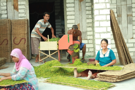 Merajang Tembakau.