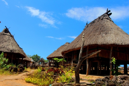 Rumah Adat As Manlea