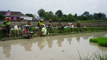 Sehat di kampung halaman