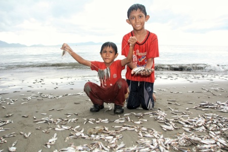 Anak nelayan