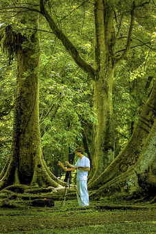 Turis Asing sedang melukis keindahan Kebun Raya Bogor dibawah Pohon Jodoh