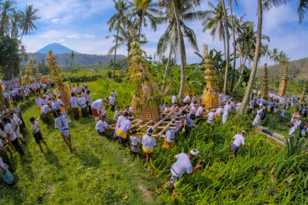 Tradisi Usaba Dangsil Ikon Budaya Bali