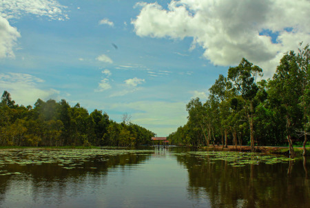 Taman Wisata Sungai Wasur - Merauke Papua