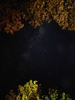 Night sky at baluran