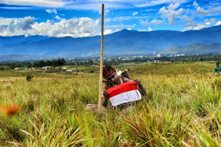 Papua ku, Indonesia ku