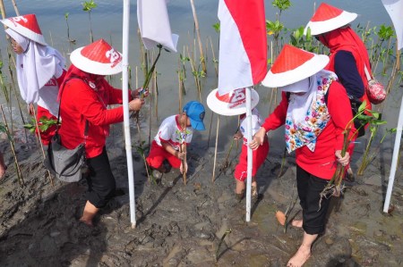 Penyelamatan Pesisir Pantai Utara Jawa