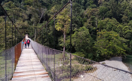 Menuju Jantung Hutan Sumatera